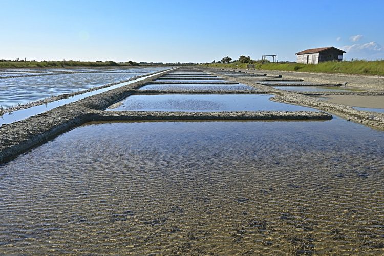 Marais salant - Île d'Oléron - Ultra Grand Angle