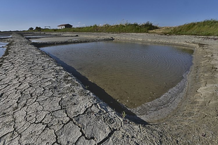 Marais salant - Île d'Oléron - Ultra Grand Angle