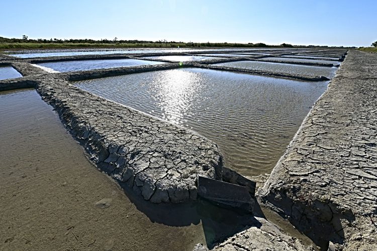 Marais salant - Île d'Oléron - Ultra Grand Angle