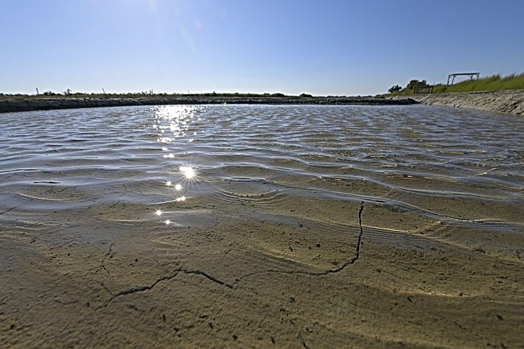 Marais salant - Île d'Oléron - Ultra Grand Angle