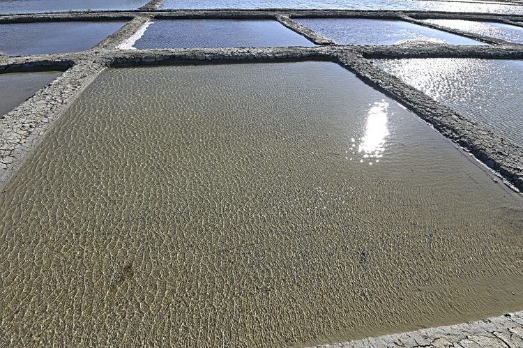 Marais salant - Île d'Oléron - Ultra Grand Angle