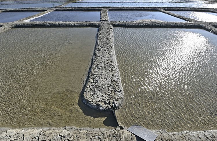 Marais salant - Île d'Oléron - Ultra Grand Angle