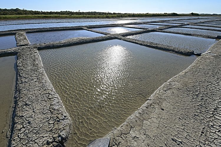Marais salant - Île d'Oléron - Ultra Grand Angle