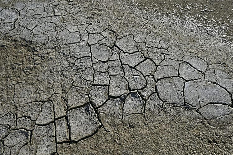 Marais salant - Île d'Oléron - Ultra Grand Angle