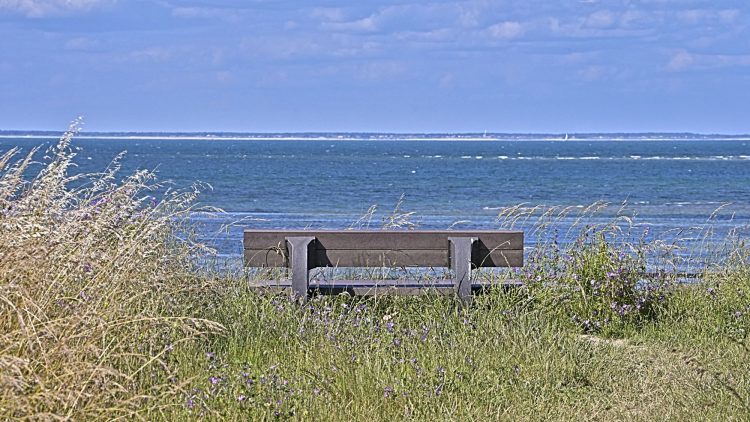 Île d'Oléron - Côte Sauvage