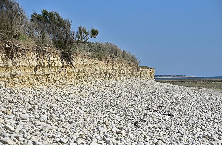 Île d'Oléron - Côte Sauvage