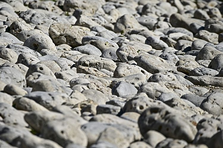 Île d'Oléron - Côte Sauvage