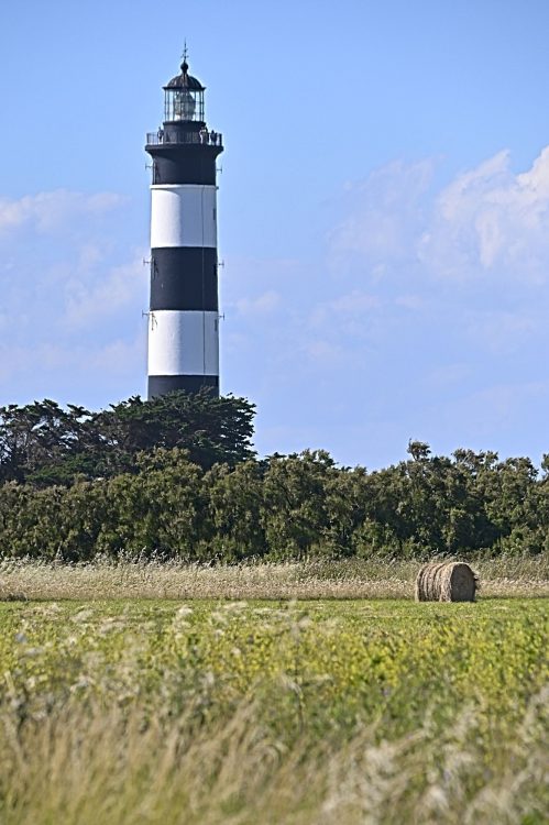 Île d'Oléron - Côte Sauvage