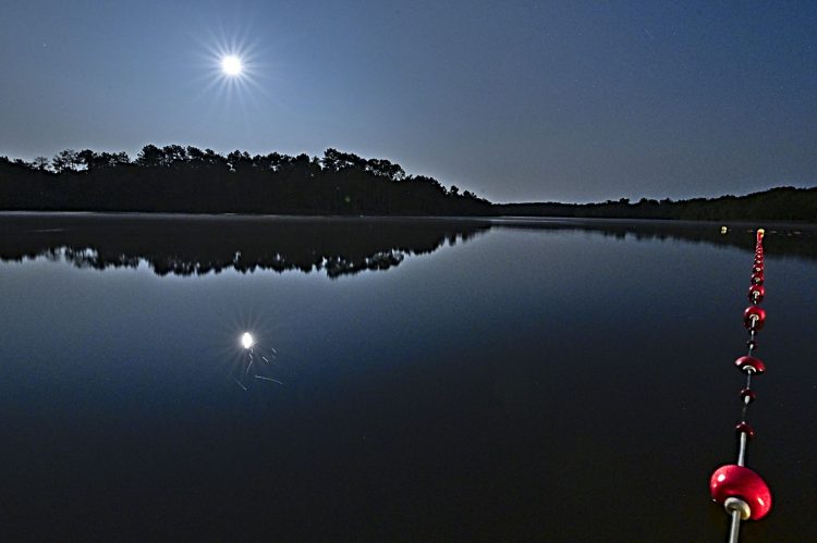 Grand étang de La Jemaye - 19/08/2024 Super Lune