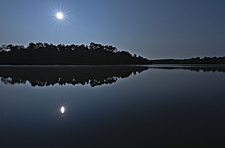 Grand étang de La Jemaye - 19/08/2024 Super Lune