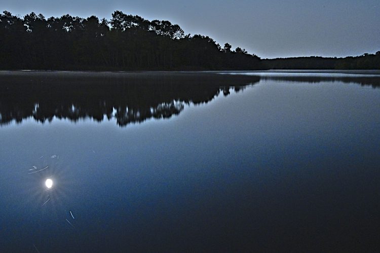 Grand étang de La Jemaye - 19/08/2024 Super Lune