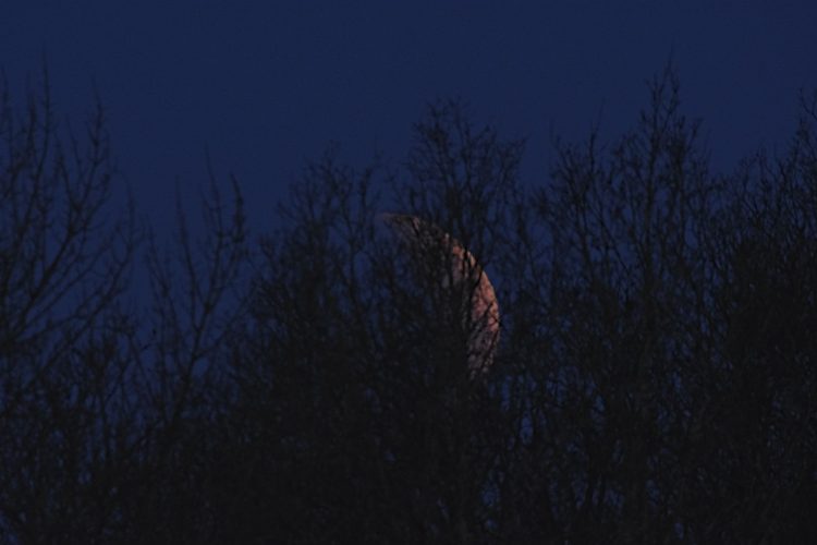 Eclipse de Lune 14-03-2024