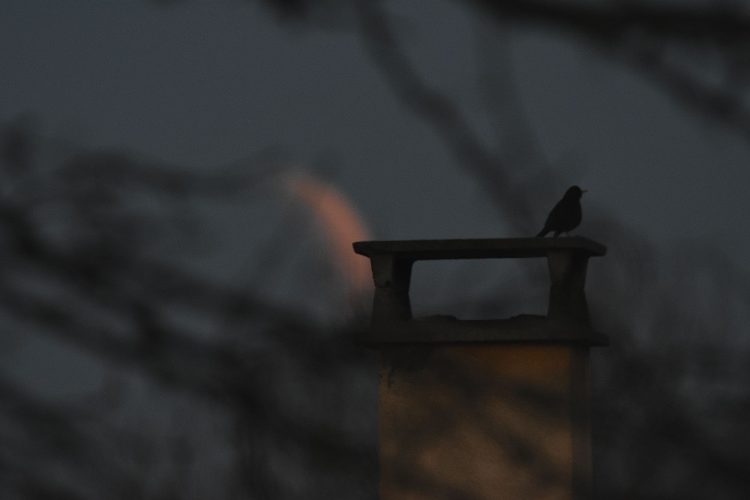 Eclipse de Lune 14-03-2024