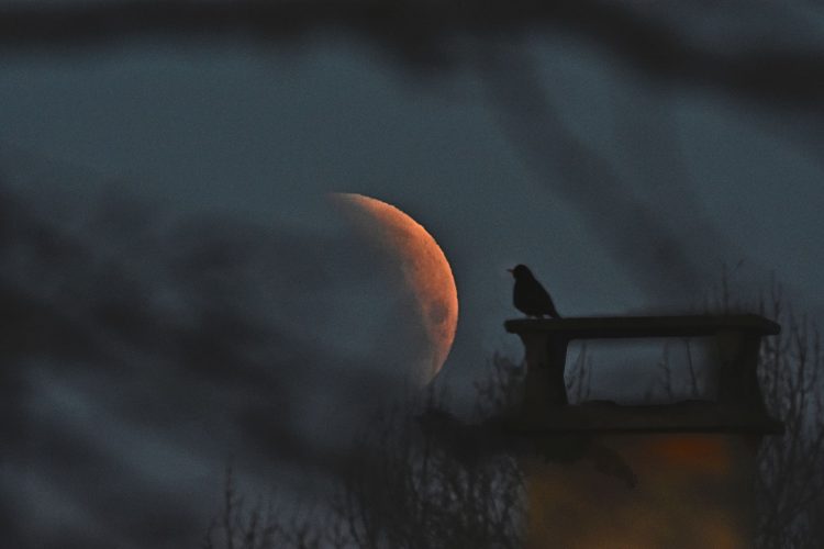 Eclipse de Lune 14-03-2024