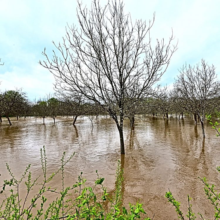 Crue de l'Auvézère - La Roquette