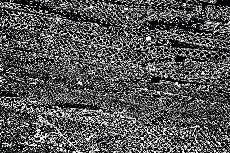 Île d'Oléron, Cabanes ostréicoles, Chenal, Etier