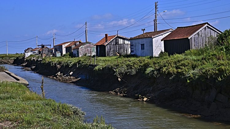 Île d'Oléron, Cabanes ostréicoles, Chenal, Etier
