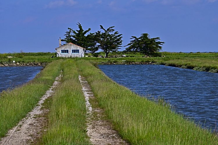 Île d'Oléron, Cabanes ostréicoles, Chenal, Etier