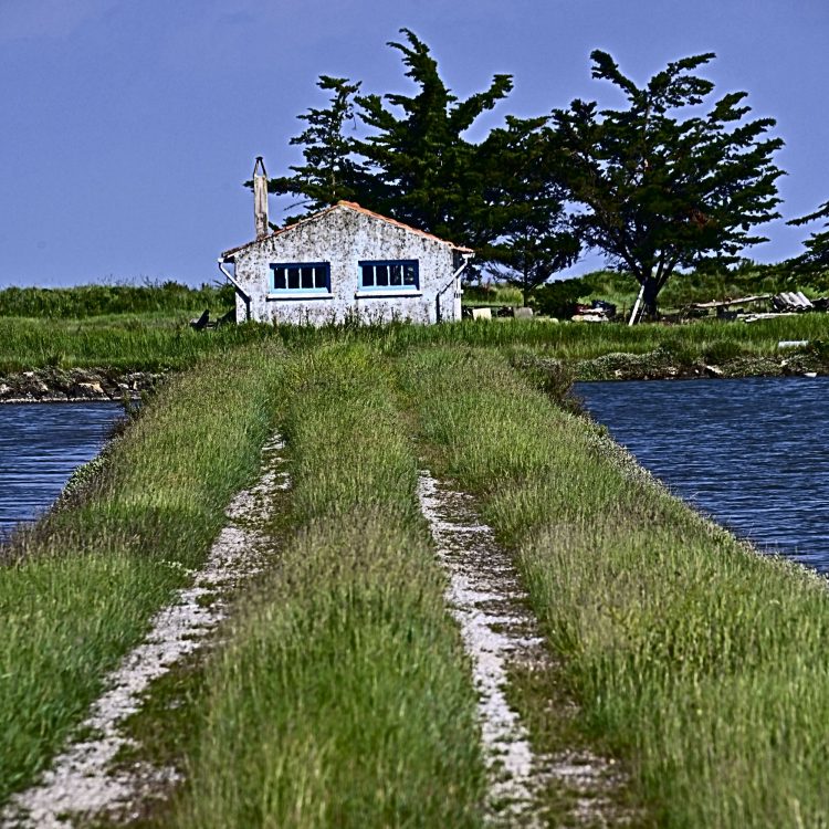 Île d'Oléron, Cabanes ostréicoles, Chenal, Etier