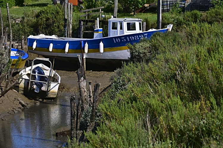 Île d'Oléron, Cabanes ostréicoles, Chenal, Etier