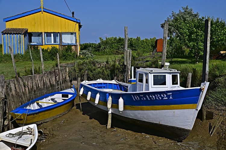 Île d'Oléron, Cabanes ostréicoles, Chenal, Etier