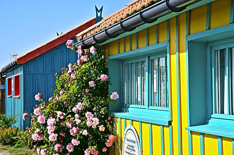 Île d'Oléron, Cabanes ostréicoles, Chenal, Etier