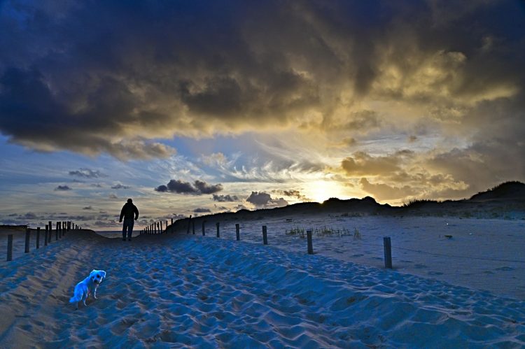 Seignosse Les Bourdaines