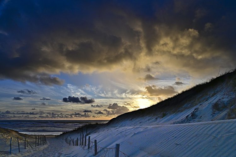 Seignosse Les Bourdaines
