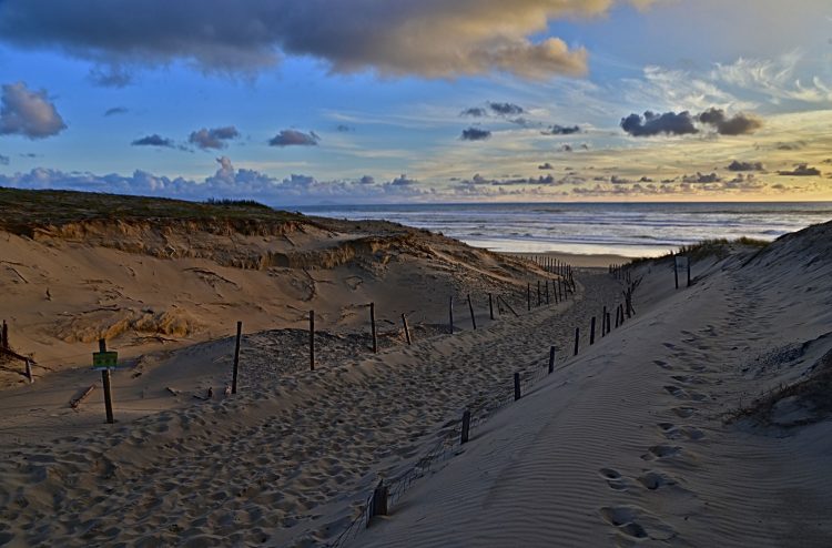 Seignosse Les Bourdaines