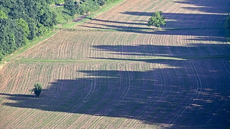 Valléede la Vézère, côte de Jord, coucher du soleil, ombres portées