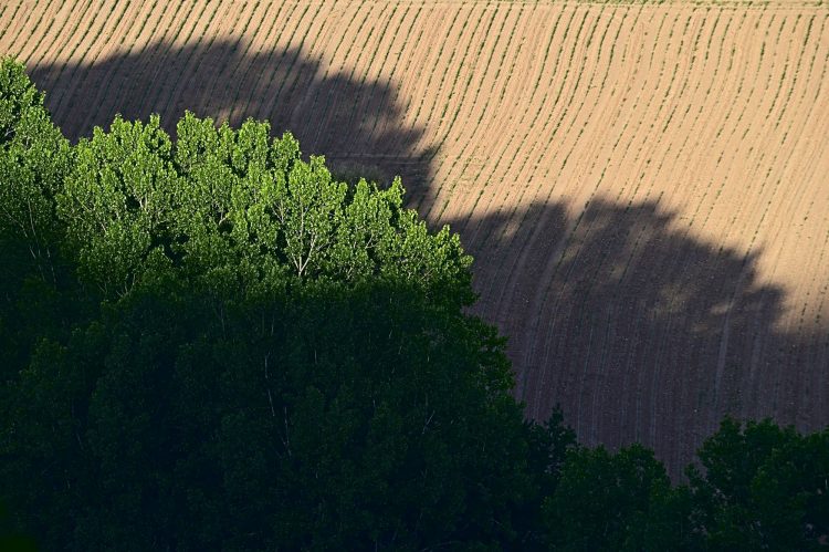 Valléede la Vézère, côte de Jord, coucher du soleil, ombres portées