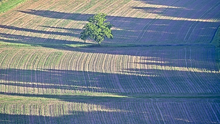 Valléede la Vézère, côte de Jord, coucher du soleil, ombres portées