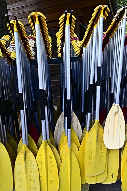 Jaune, canoë, défi photo