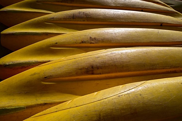 Jaune, canoë, défi photo