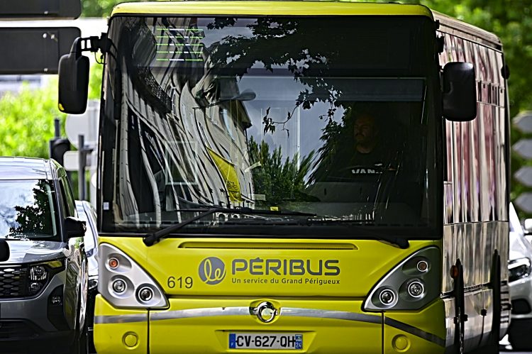 Périgueux, défi photo, jaune, couleur jaune