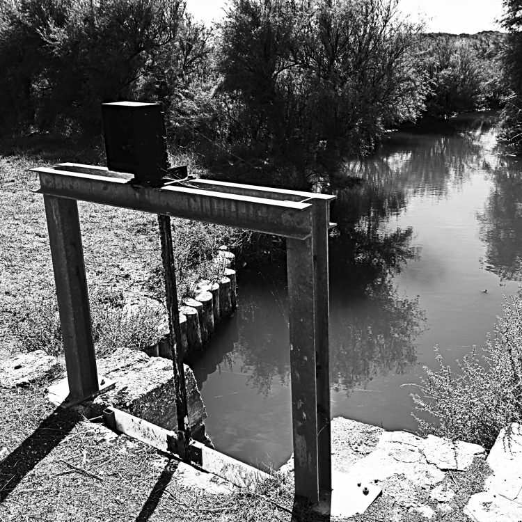 marais, marais salants, île d'Oléron, noir et blanc