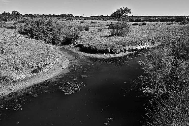 marais, marais salants, île d'Oléron, noir et blanc