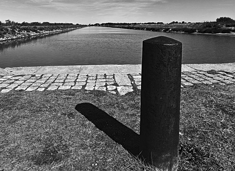 marais, marais salants, île d'Oléron, noir et blanc