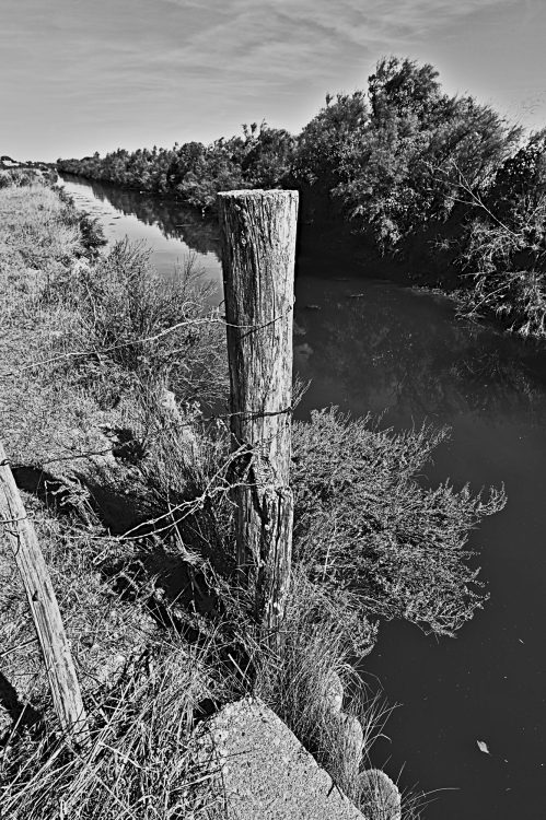 marais, marais salants, île d'Oléron, noir et blanc