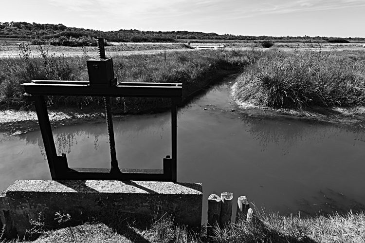 marais, marais salants, île d'Oléron, noir et blanc
