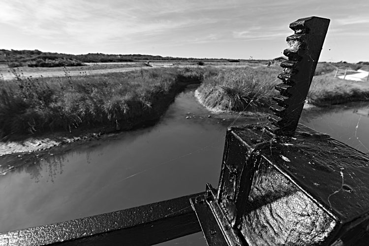 marais, marais salants, île d'Oléron, noir et blanc