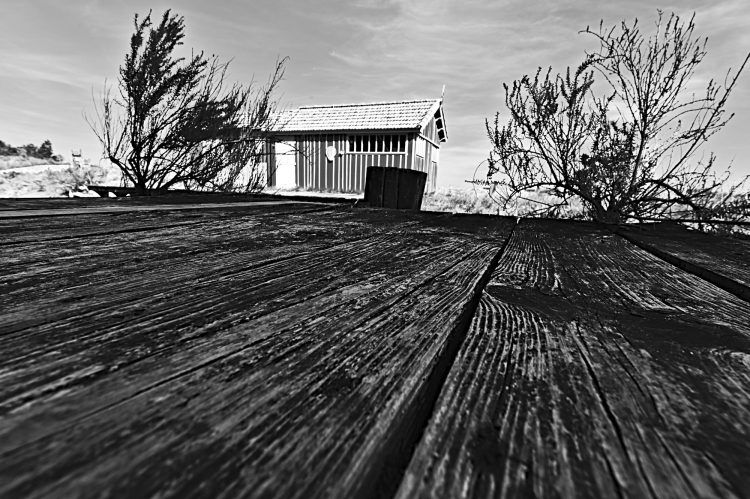 marais, marais salants, île d'Oléron, noir et blanc