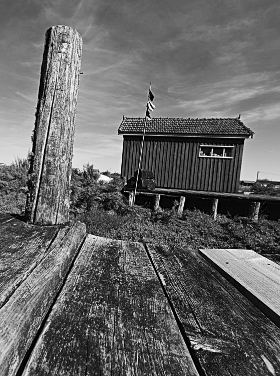 marais, marais salants, île d'Oléron, noir et blanc