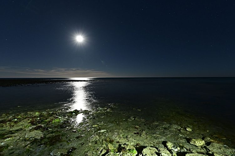 île d'Oléron, Paysage nocturne