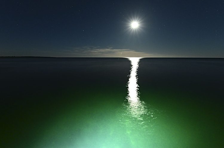 île d'Oléron, Paysage nocturne