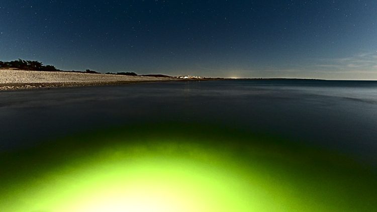 île d'Oléron, Paysage nocturne
